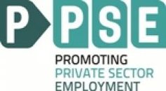 PPSE – Promoting Private Sector Employment